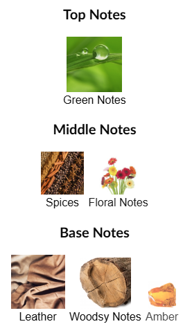 Grafton by Truefitt & Hill