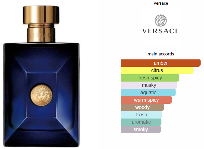 Versace Pour Homme Dylan Blue by Versace