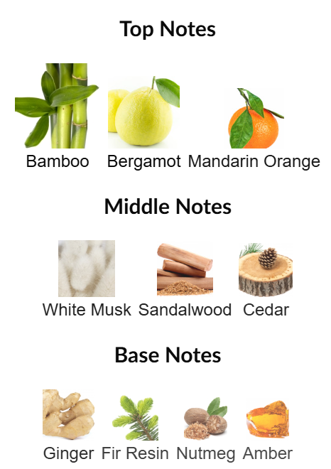 Starwalker by Montblanc