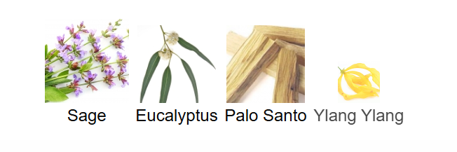 Palo Santo Sage by Being Frenshe