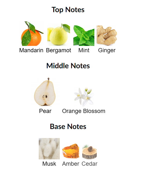 Art Of Universe by Lattafa Perfumes