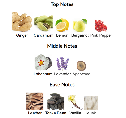The Deadly Fate Of Phaeton by The Dua Brand