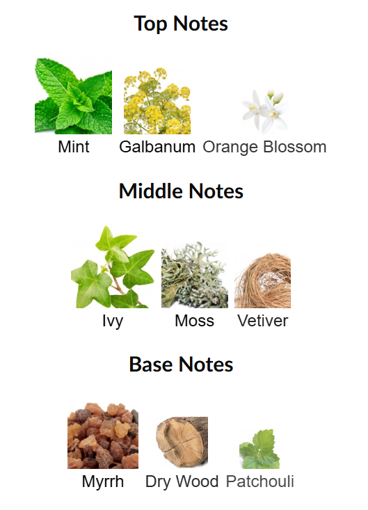 Cabana Killer Oud by Paris Corner