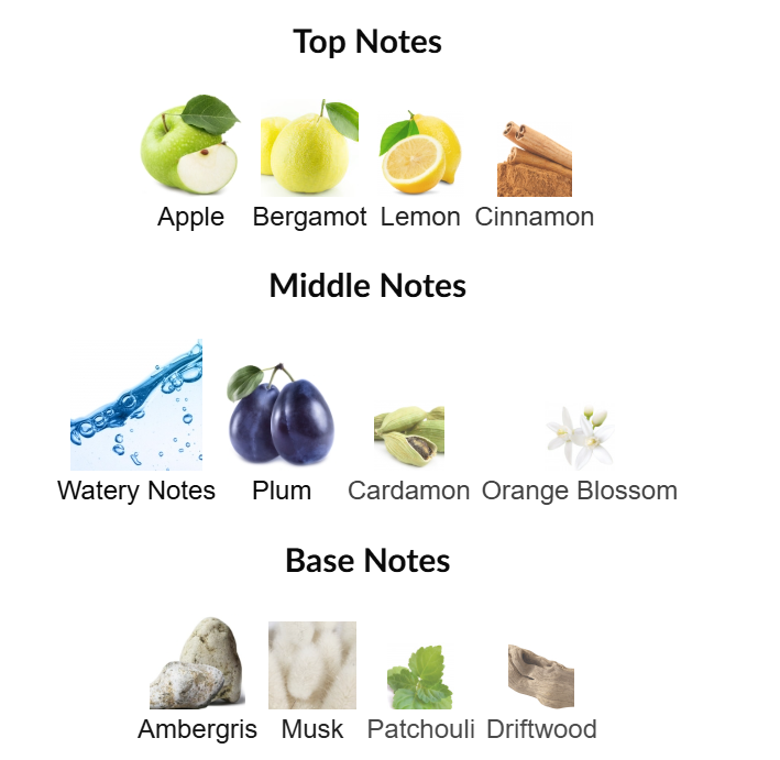 Hawas for Him by Rasasi