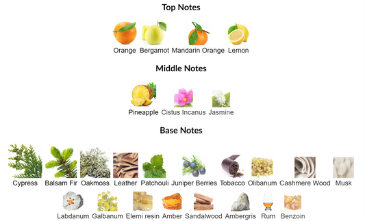 Vertex Emir by Paris Corner