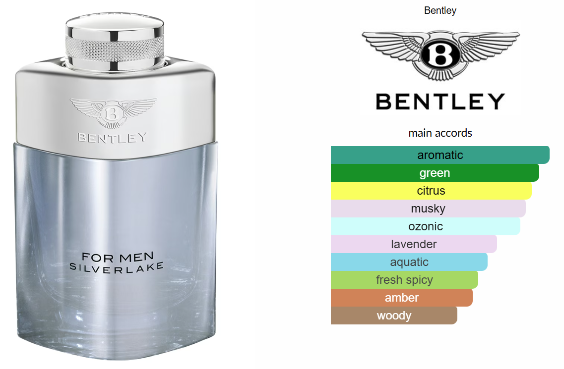 Bentley For Men Silverlake by Bentley