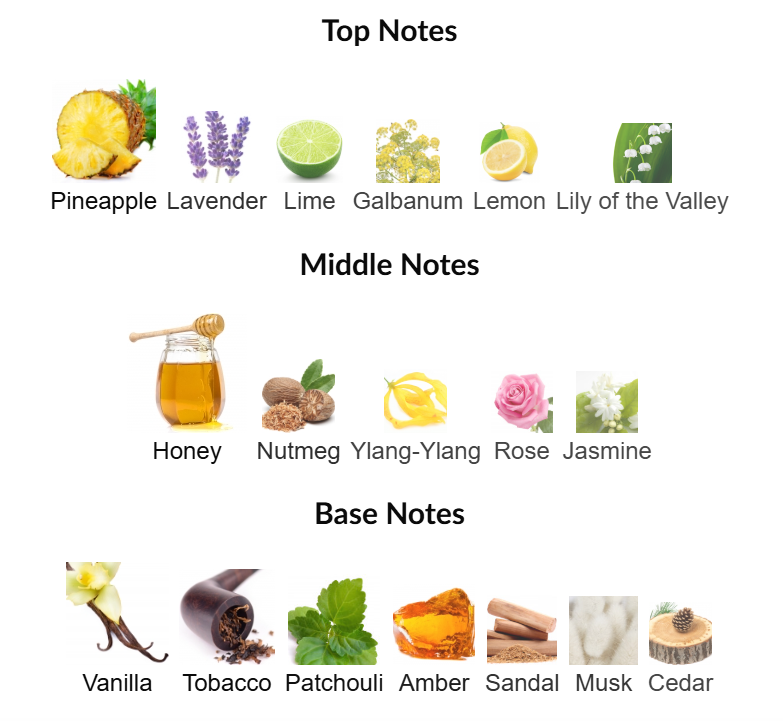 Animale Animale for Men by Animale