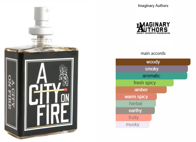 A City On Fire by Imaginary Authors
