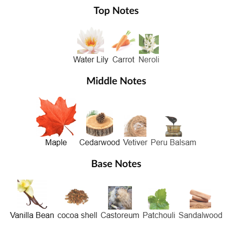 Beaver Maple Edition by Zoologist