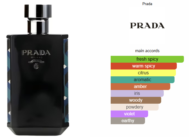 Prada L'Homme Absolu by Prada