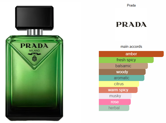 Paradigme by Prada