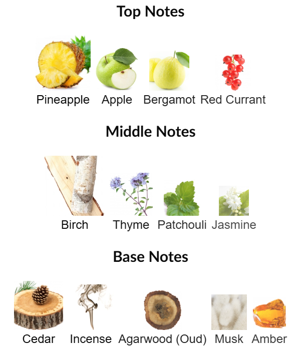 Orion by Tiziana Terenzi