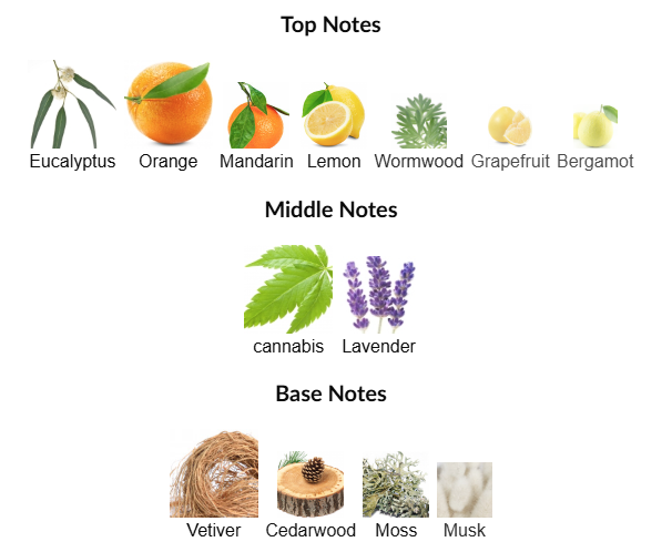 The Fougère Affair by CRA-YON