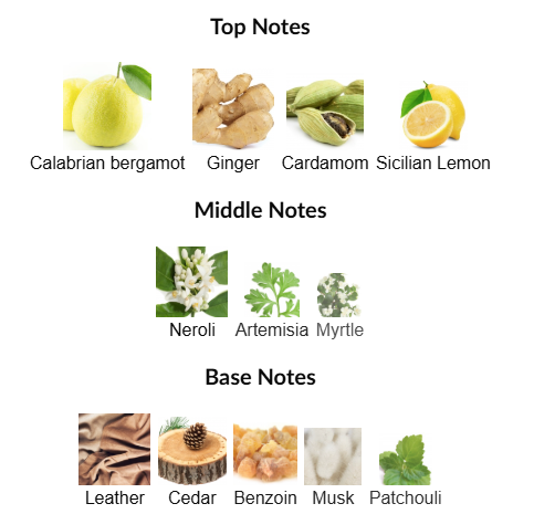 Colonia Intensa by Acqua di Parma