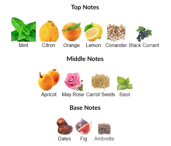 Jean Lowe Vibe by Maison Alhambra