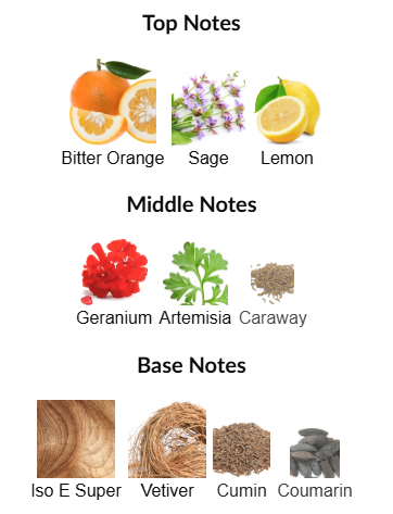 Azzaro Pour Homme Édition Noire by Azzaro