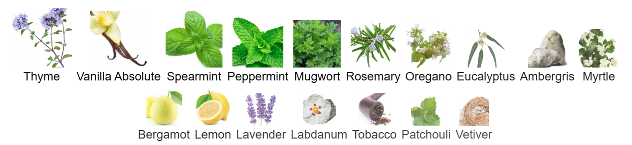 Nano Nucleonic Mint Summoning by Phronema Perfumes