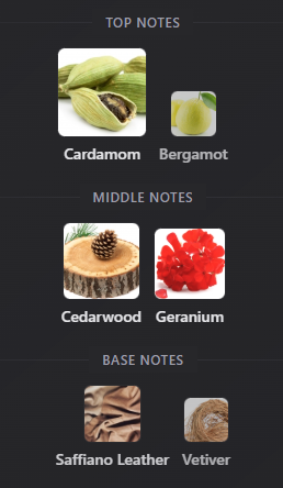 Coach for Men Eau de Parfum by Coach