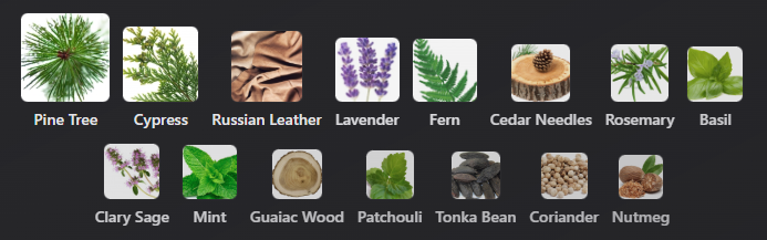 Russian Leather by Memo Paris