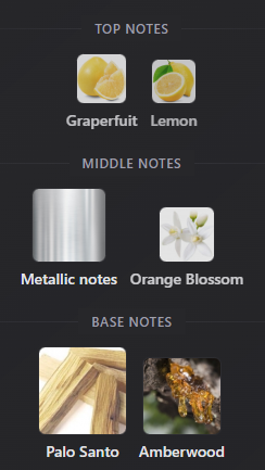 This Is Really Him! by Zadig & Voltaire