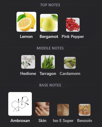 Rhythm by City Rhythm