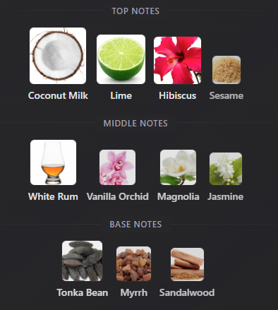 Miami Tropical Confessions by City Rhythm