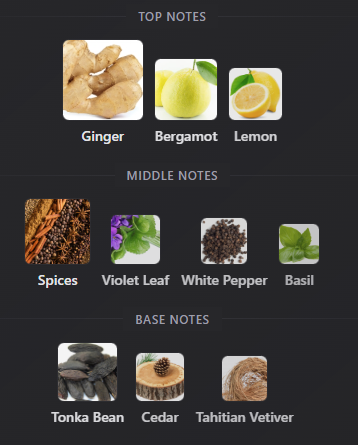 L'Homme by Yves Saint Laurent