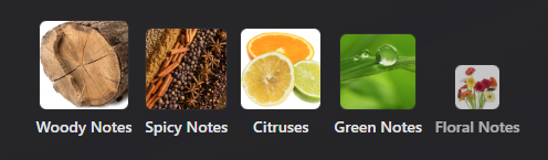 Brummel by Antonio Puig