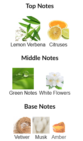 Verbena by Monotheme Venezia