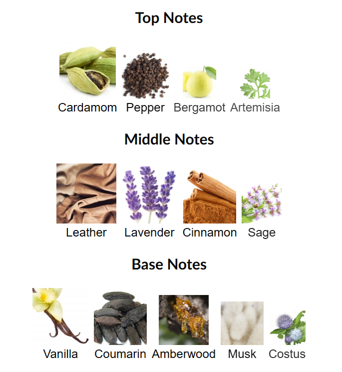 Posh Omega by Fragrance World