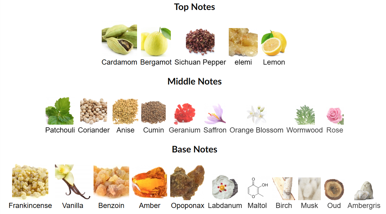 Terra Eau de Parfum by Rayhaan