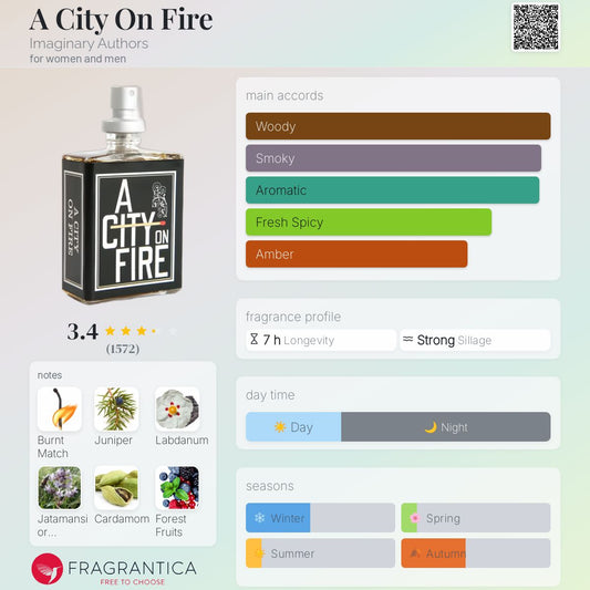 A City On Fire by Imaginary Authors