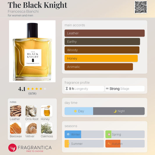 The Black Knight by Francesca Bianchi
