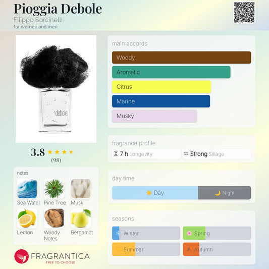 Pioggia Debole by Filippo Sorcinelli