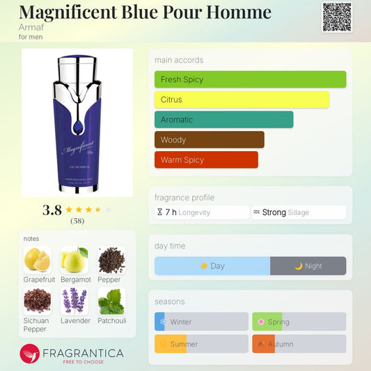 Magnificent Blue Pour Homme by ARMAF