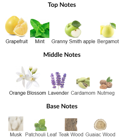 Silver Scent Pure by Jacques Bogart