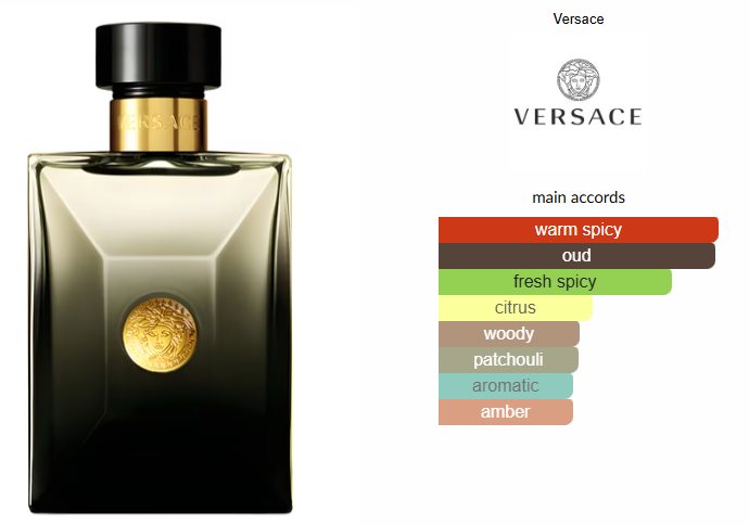 Versace Pour Homme Oud Noir by Versace