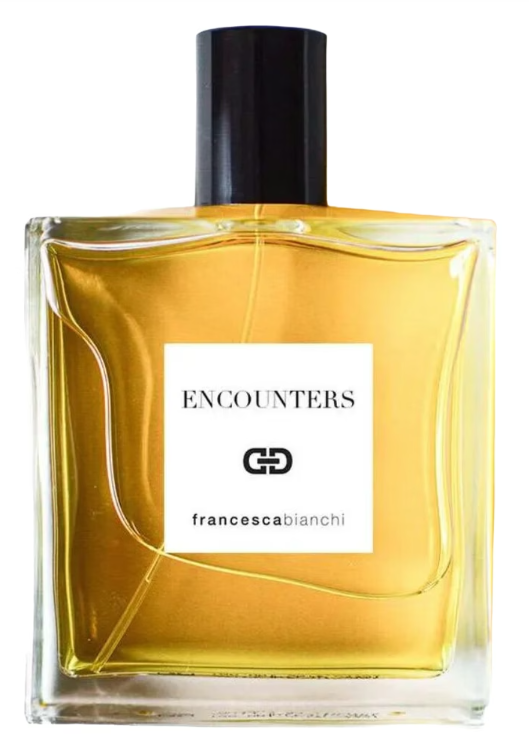 Encounters by Francesca Bianchi