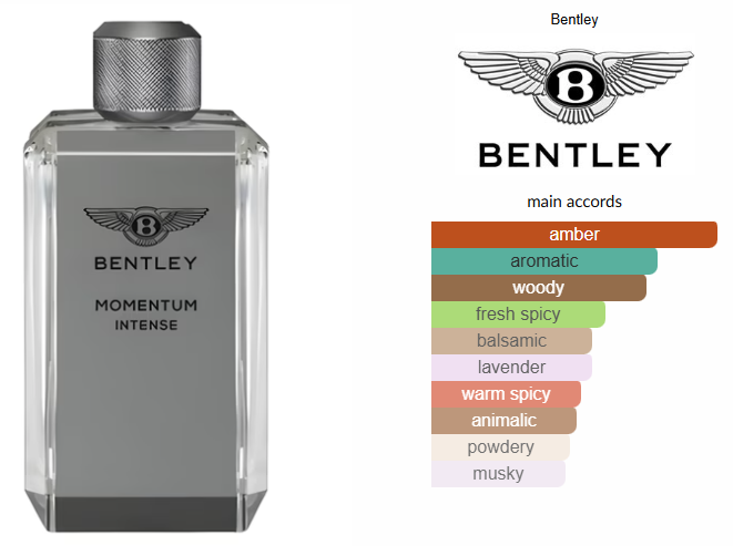Momentum Intense by Bentley *PRE-ORDER*