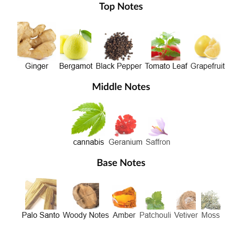 The Dusk Daze by CRA-YON