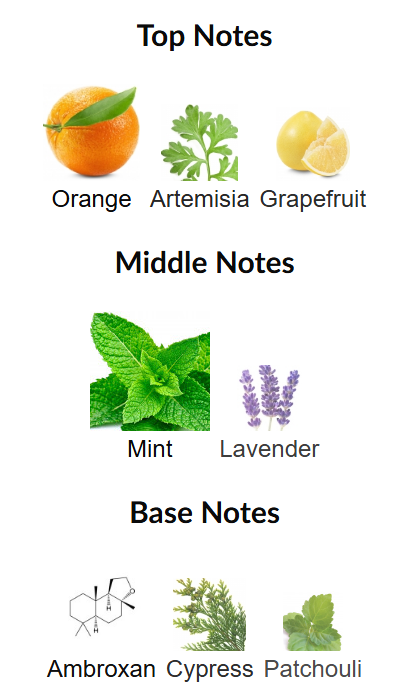 Odyssey Aqua Edition by ARMAF