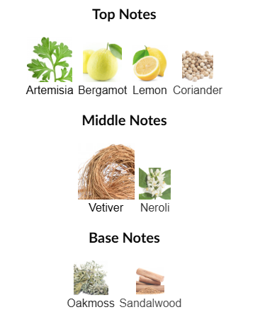 Vetiver Bourbon by Monotheme Venezia