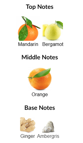 Jean Lowe Azure by Maison Alhambra