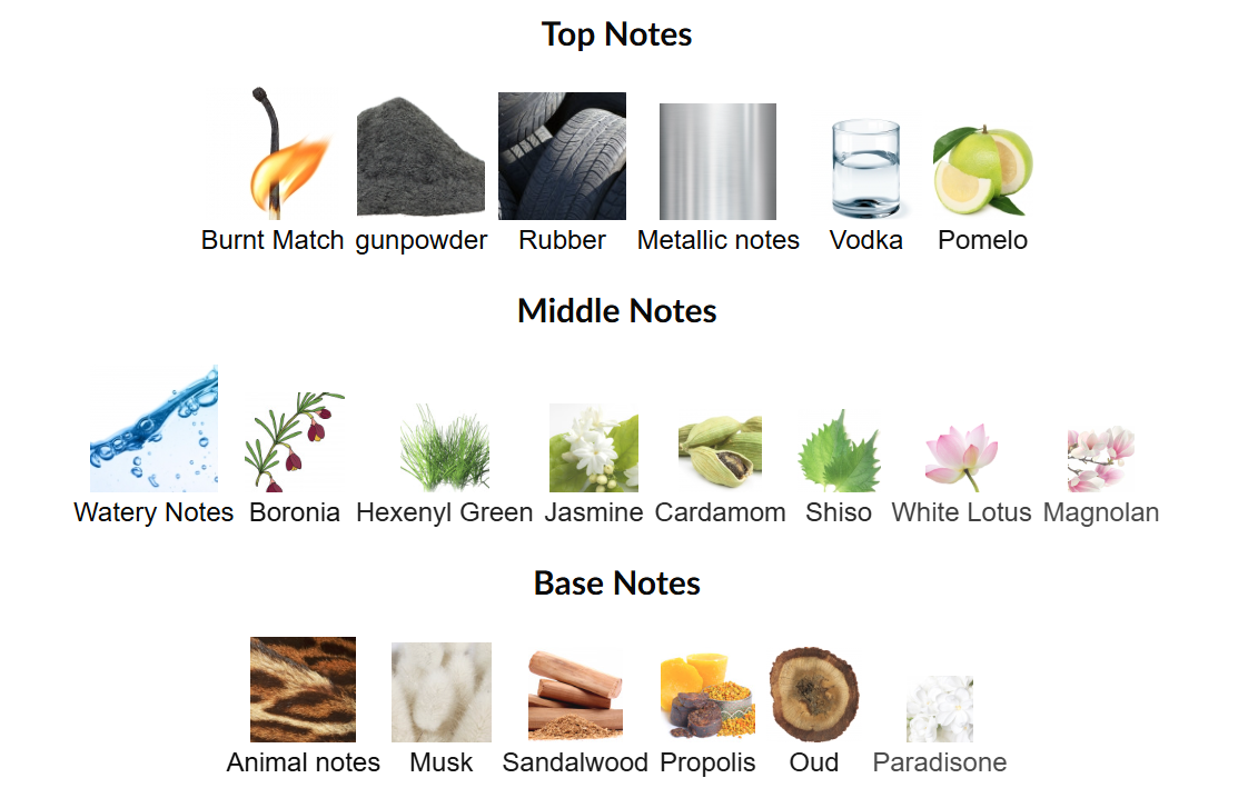 Élysée Liminaire by Pictura Fragrans