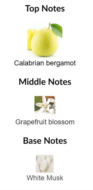 Dior Homme Cologne 2022 by Dior