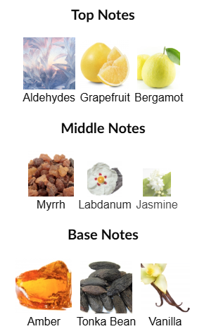 OBSIDIAN by French Avenue