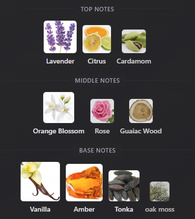 Liquid Brun Extrait Limited Edition by French Avenue