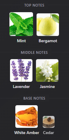 Kouros Cologne Sport Eau d'Ete Summer Fragrance by Yves Saint Laurent