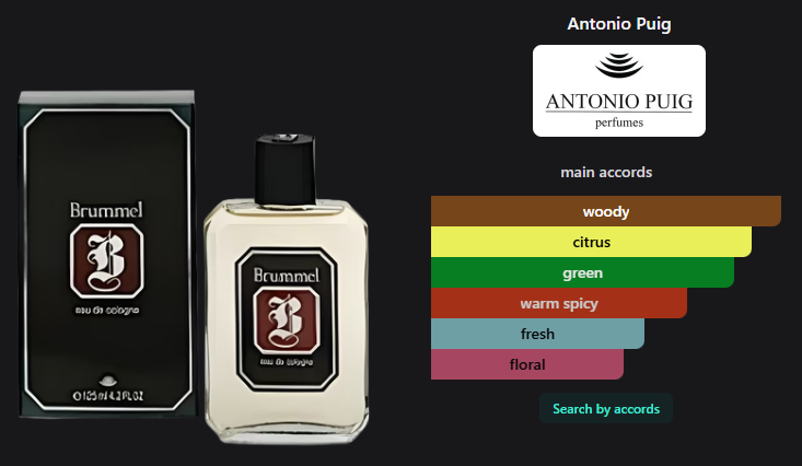 Brummel by Antonio Puig