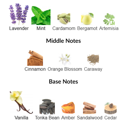 Error 404 by The Dua Brand